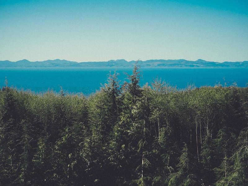 연혁